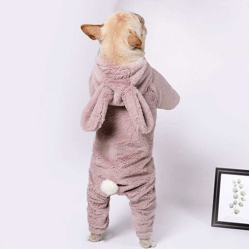 Pet Cute Rabbit Hoodie